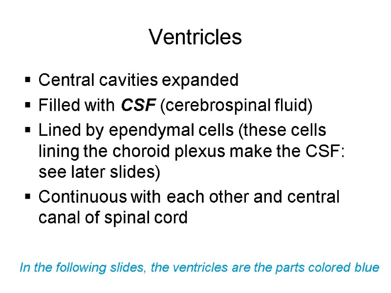 Ventricles Central cavities expanded Filled with CSF (cerebrospinal fluid) Lined by ependymal cells (these